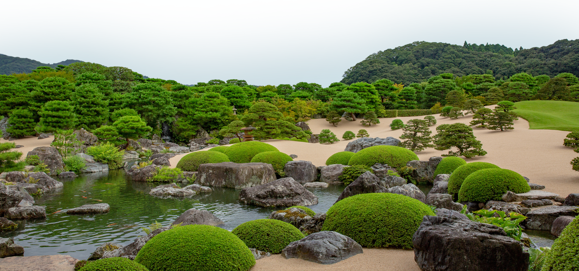 背景