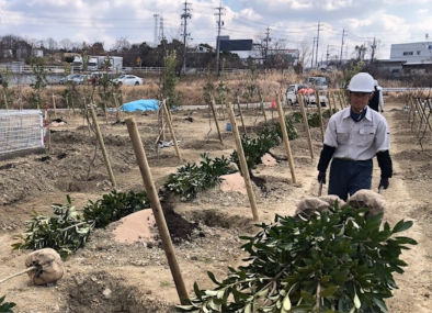 工業団地の植栽